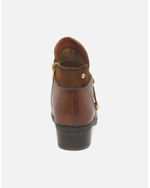 Pikolinos Brown Darcey Ankle Boots