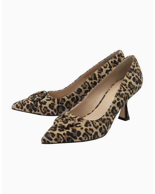 Lotus Metallic Henley Court Shoes