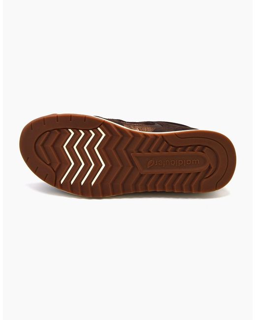 Waldläufer Brown Carmen 575001 Trainers