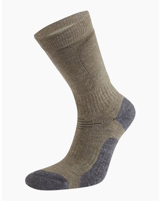 Craghoppers Gray Adult National Trust Trekking Socks