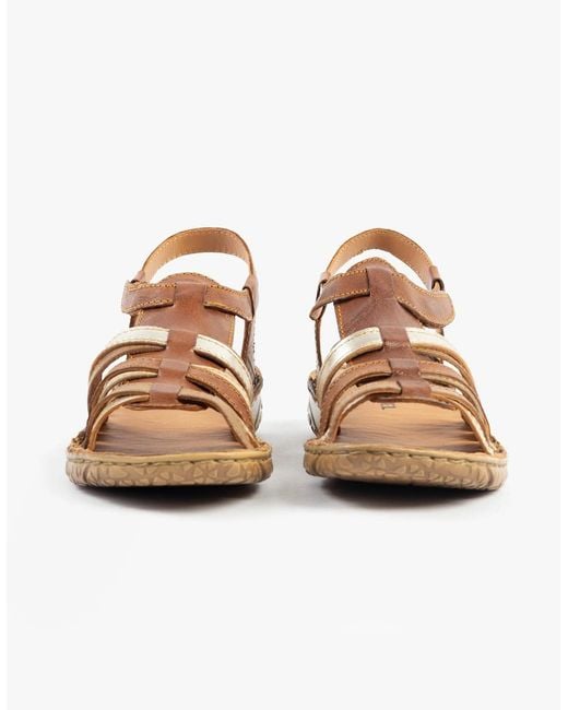 Josef Seibel Brown Ivy 02 Sandals Castagne-Multi