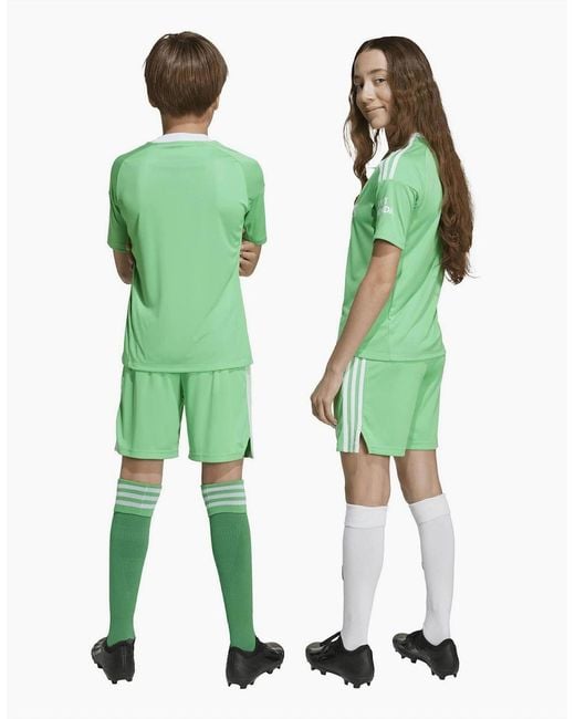 Adidas Green Afc 3 Gk Sho Jn99