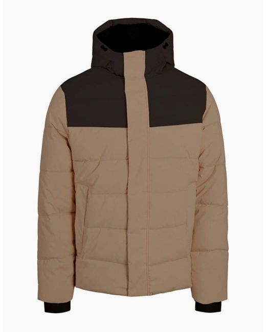 Jack & Jones Brown Solid Patterned Hooded Ribbed Cuff Puffer Jacket for men