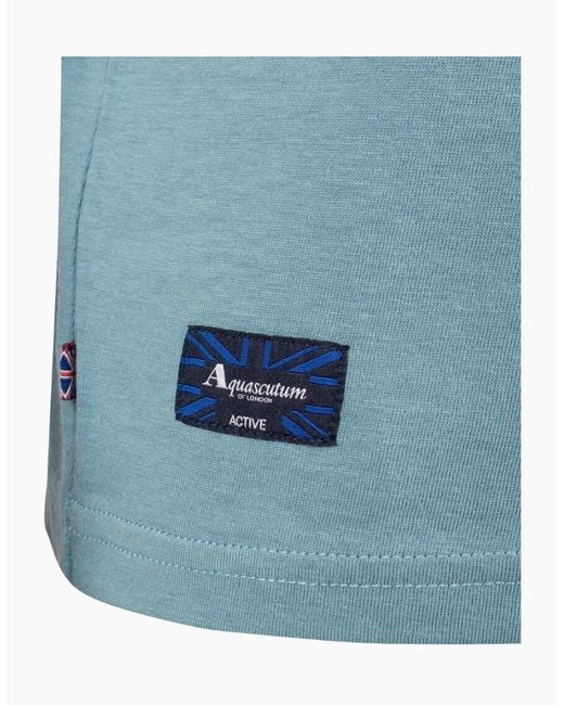 Aquascutum Blue Active Cotton Stripes Avio T-Shirt for men