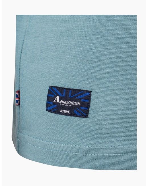 Aquascutum Blue Active Cotton Stripes Avio T-Shirt for men