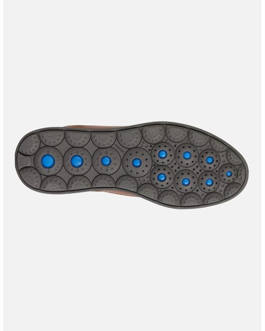 Geox Brown U Spherica Ec12 Shoes for men