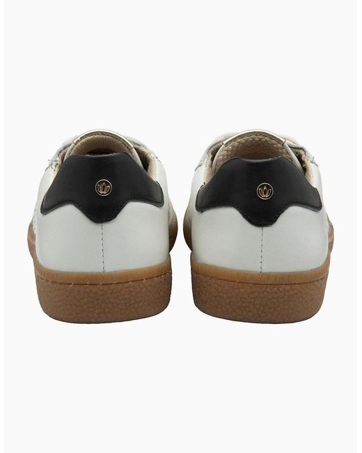 Lotus White Frapporta Trainers