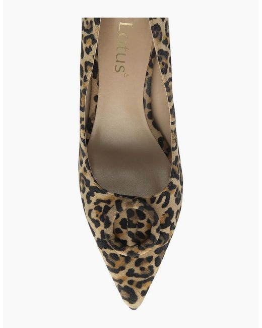 Lotus Metallic Henley Court Shoes