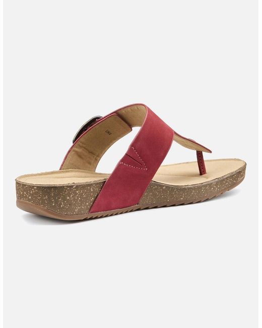 Hotter Pink Resort Toe Post Sandals