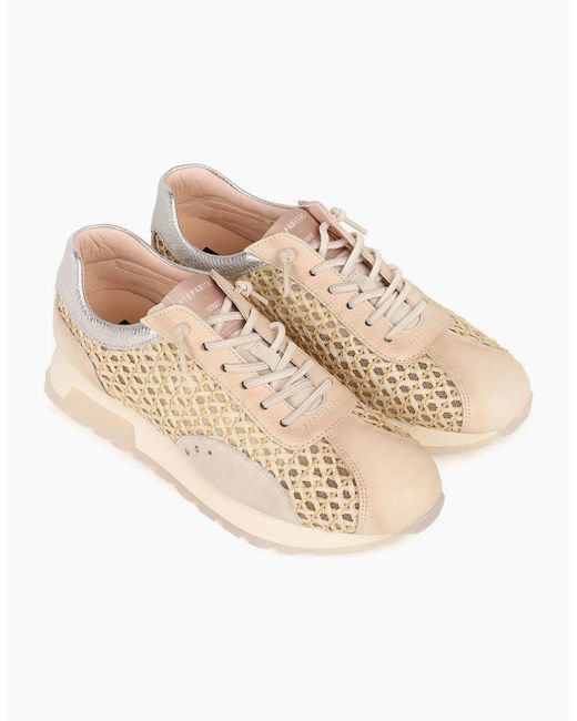 Hispanitas Natural Oregon Trainers