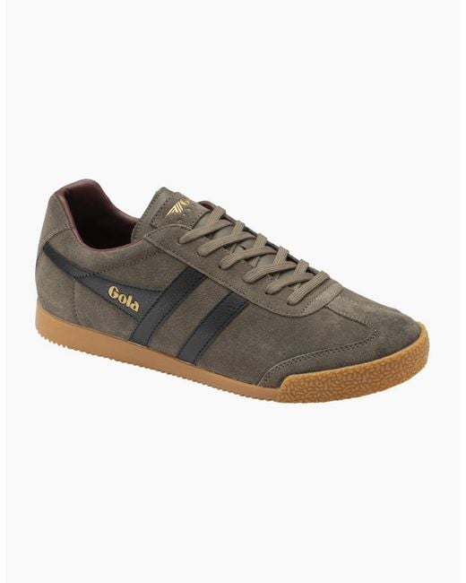 Gola Brown Harrier Trainers for men