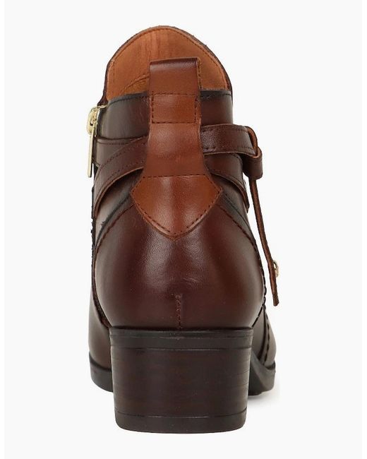 Pikolinos Brown Dixie Ankle Boots