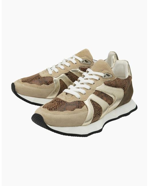 Ravel White Innes Trainers