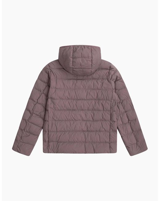 Mountain Warehouse Purple Ladies Lightweight Packable Jacket