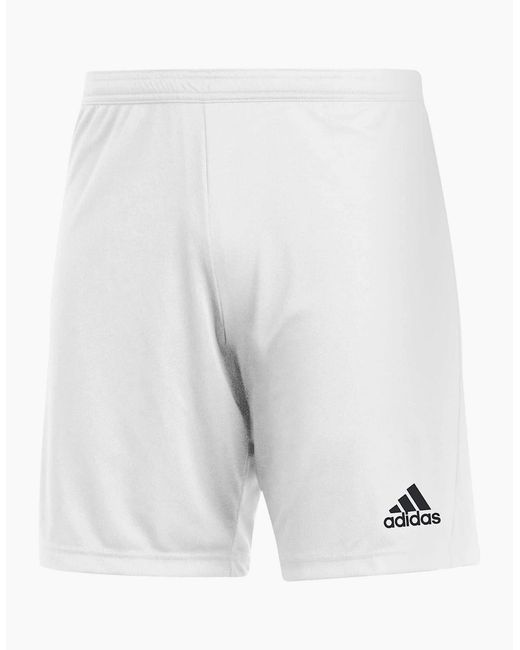 Adidas White Entrada 22 Shorts for men