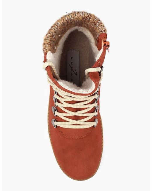 Lunar Brown Candy Ankle Boots
