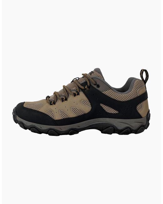 Regatta Black Edgepoint Iv Low Walking Shoes for men