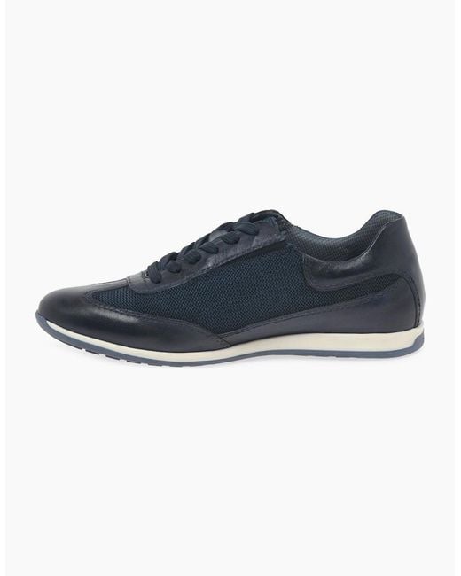Bugatti Blue Towner Trainers for men