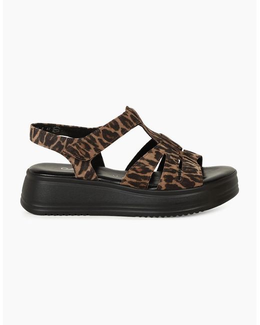Gabor Black Abel Sandals