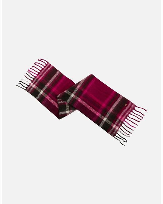 Trespass Purple Ladies Beverly Winter Scarf