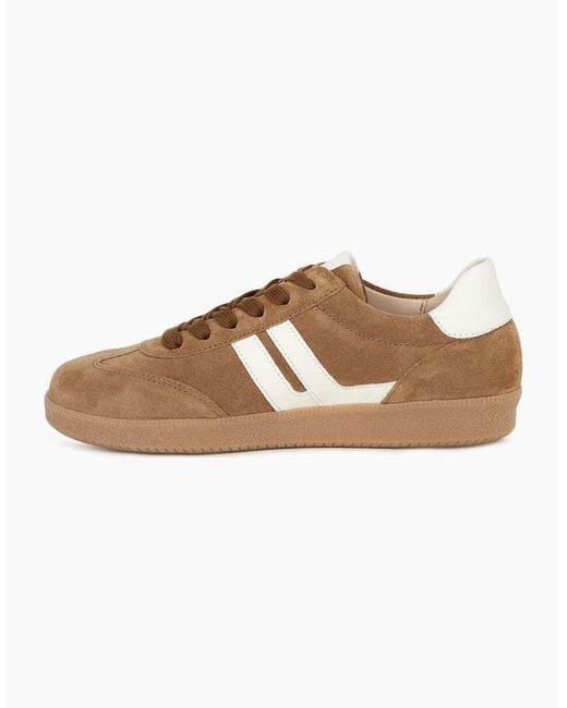 Gabor Brown West Trainers
