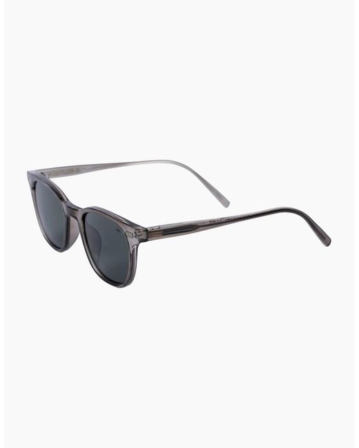 Trespass Gray Cline Sunglasses for men
