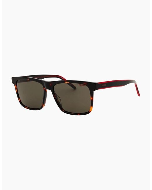 Boss Brown Hugo Havana Framed Sunglasses for men