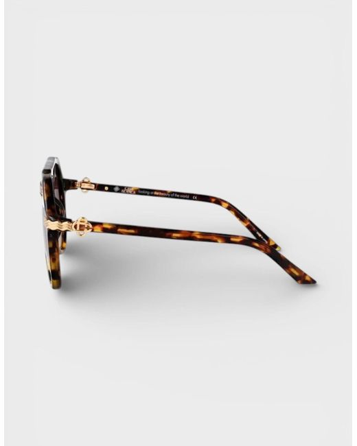 Casablanca Brown Rajio Sunglasses