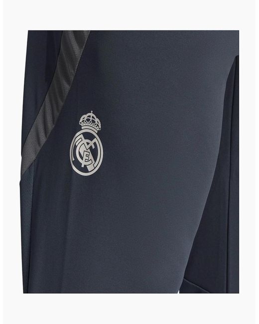 Adidas Blue Eu Tr Pnt Tracksuit Bottom for men
