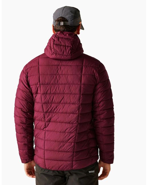 Regatta Red Asper Padded Jacket for men