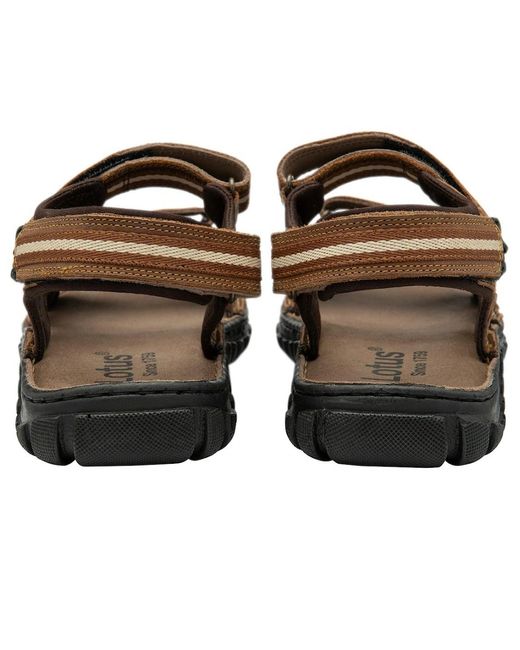 Lotus Brown Gus Sandals for men