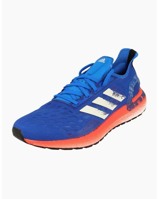 Adidas Blue Pb Sneakers Ef0893 for men