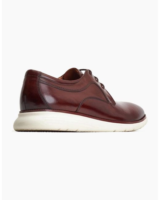 Base London Brown Wing Derby Shoes for men