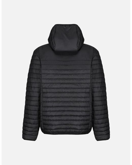 Regatta Black Professional Padded Jacket for men