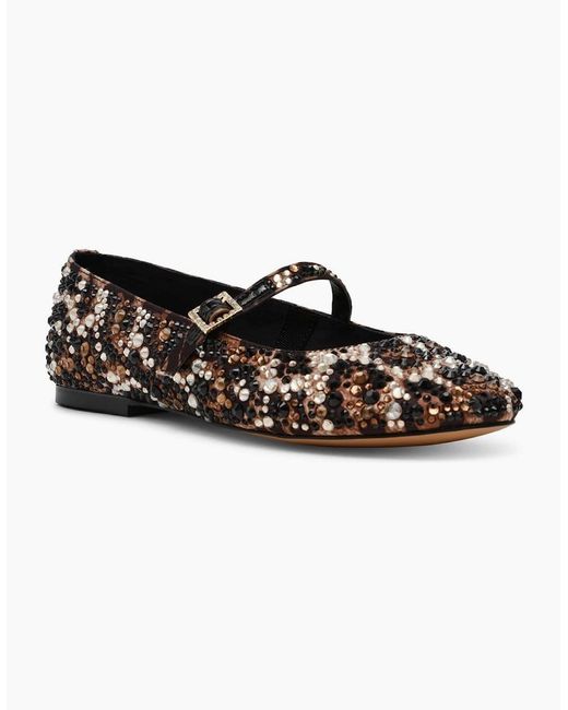 Steve Madden Multicolor Brissa Leopard Ballet Pumps