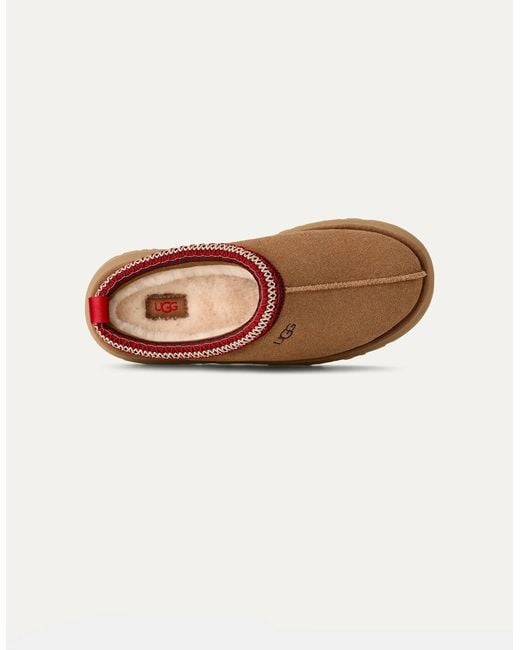 Ugg Brown Tazz Ii Slippers