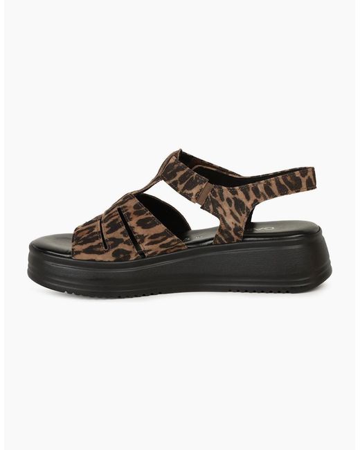 Gabor Black Abel Sandals