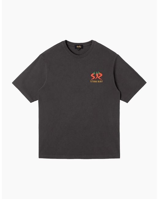 Stan Ray Black Pepper T-Shirt for men