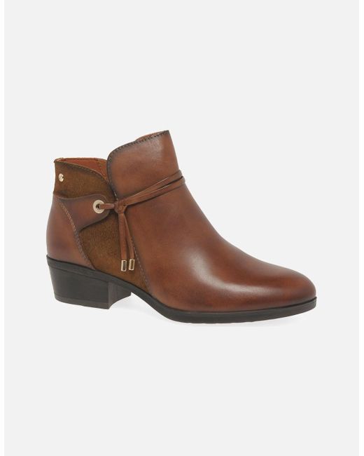 Pikolinos Brown Darcey Ankle Boots