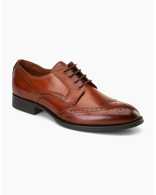 Base London Brown Bell Brogue Shoes for men