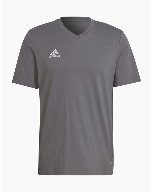 Adidas Gray Ent22 T-Shirt for men