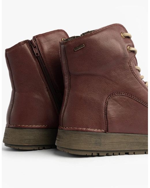 Josef Seibel Brown Anna 51 Boots Plum