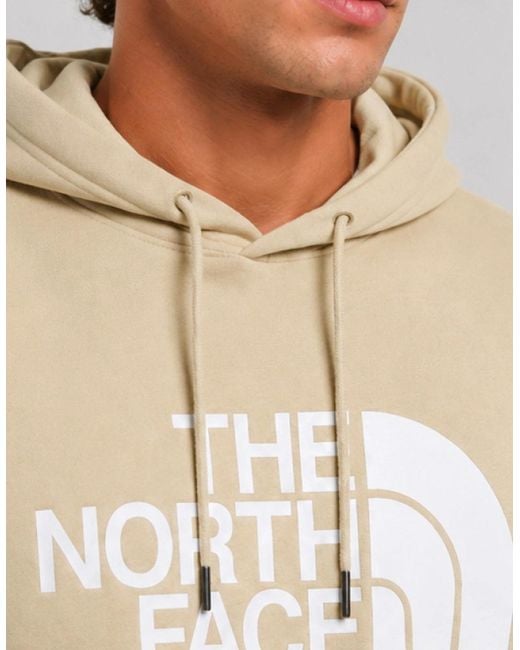 The North Face Natural Standard Half Dome Pullover Hoodie for men