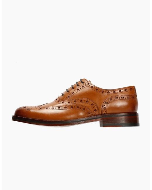 Chapman & Moore Brown Oxford Brogue Leather Tan Burnish Shoes for men