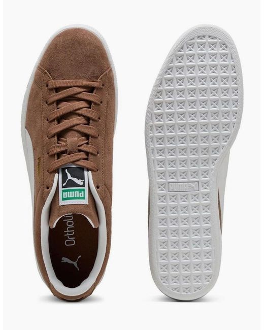 PUMA Brown Classic Suede Haute Coffee/ Trainers