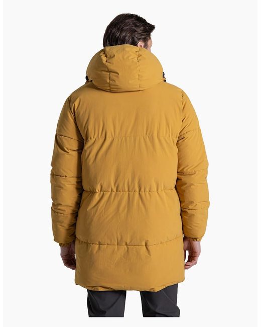 Craghoppers Yellow Bannerdale Reversible Padded Jacket for men