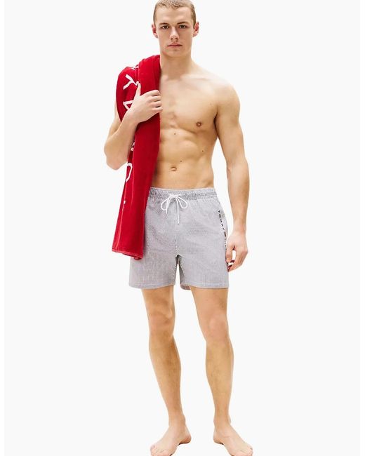 Tommy Hilfiger Gray Original Stripe Mid Length Swim Shorts, Ithaca/Desert Sky for men