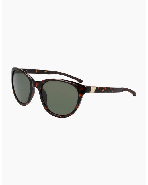 Nike Brown Hero S Cat Eye Sunglasses for men