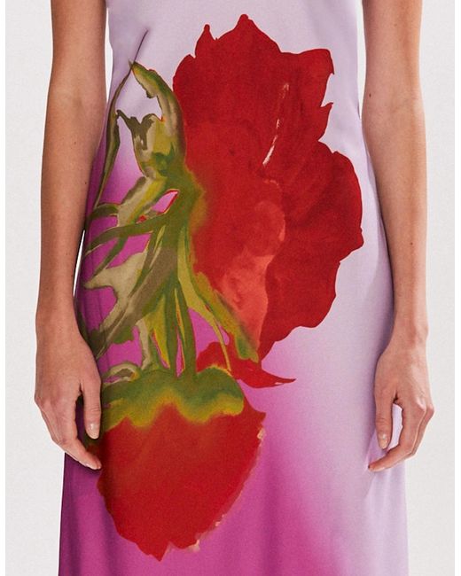 Ro&zo Pink Petite Margot Rose Print Halter Neck Dress