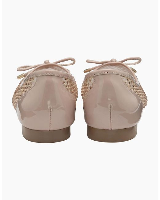Lotus White Americas Ballet Pumps